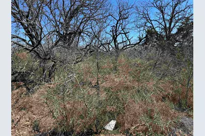 Lot 103 Ridgemont Drive, Kingsland, TX 78639 - Photo 7