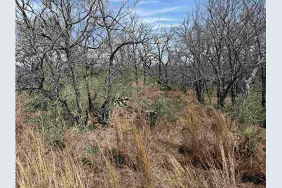 Lot 300-304 Link/Pinemont Drive, Kingsland, TX 78639 - Photo 3