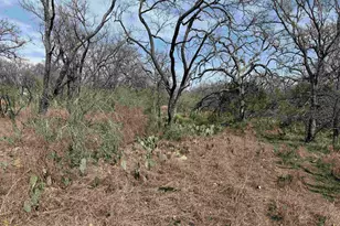 Lot 294 Pinemont Dr, Kingsland, TX 78639 - Photo 1