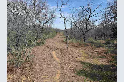 Lot 275-282 Aspermont Drive, Kingsland, TX 78639 - Photo 5