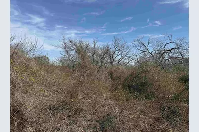Lot 275-282 Aspermont Drive, Kingsland, TX 78639 - Photo 1