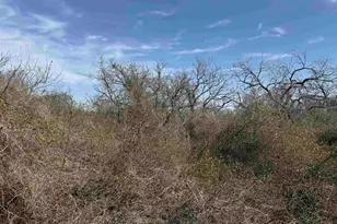 Lot 275-282 Aspermont Dr, Kingsland, TX 78639 - Photo 1