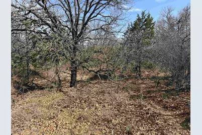 Lot 283-289 Aspermont Drive, Kingsland, TX 78639 - Photo 5