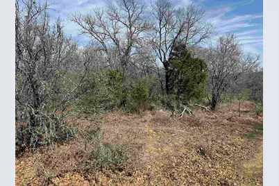 Lot 283-289 Aspermont Drive, Kingsland, TX 78639 - Photo 1