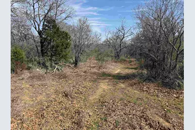 Lot 283-289 Aspermont Drive, Kingsland, TX 78639 - Photo 3