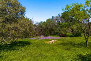 0 County Road 223, Kempner, TX 76539 - Photo 19