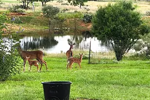 202 W Rio Llano Dr, Llano, TX 78643 - Photo 23