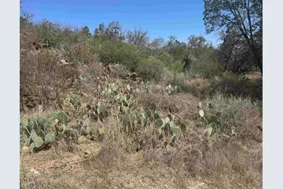 Lot 56 War Bonnet Ridge, Kingsland, TX 78639 - Photo 5