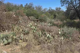 Lot 56 War Bonnet Ridge, Kingsland, TX 78639 - Photo 5