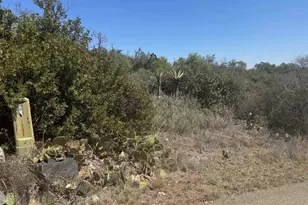 Lot 56 War Bonnet Ridge, Kingsland, TX 78639 - Photo 3