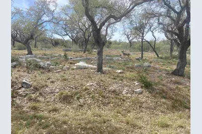 44033 Twin Sails, Horseshoe Bay, TX 78657 - Photo 5