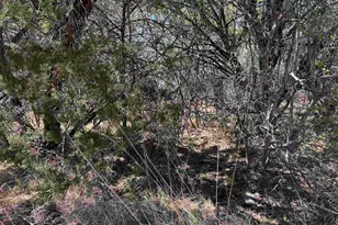 Lt K11054 Mountain Dew, Horseshoe Bay, TX 78657 - Photo 9