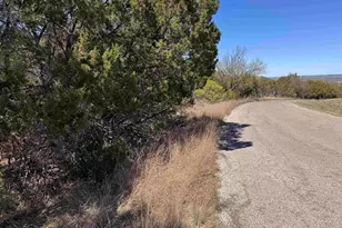 Lt K11054 Mountain Dew, Horseshoe Bay, TX 78657 - Photo 3