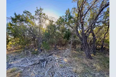 Lot 44 Mountain Laurel Lane, Spicewood, TX 78669 - Photo 19
