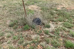 Lot 333B Aspen, Cottonwood Shores, TX 78657 - Photo 7