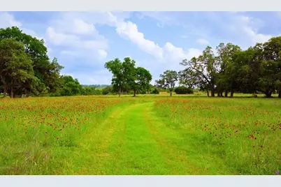 1364 N Walnut Springs Road, Johnson City, TX 78636 - Photo 1