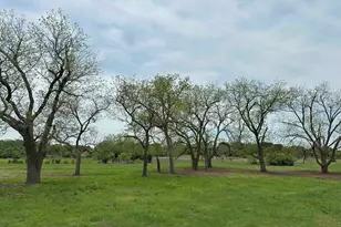 Unk County Road 330, Bertram, TX 78605 - Photo 9