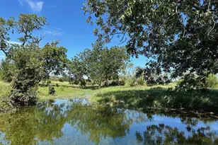 Unk County Road 330, Bertram, TX 78605 - Photo 3