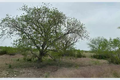 Unk County Road 330, Bertram, TX 78605 - Photo 5