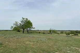 Unk County Road 330, Bertram, TX 78605 - Photo 11