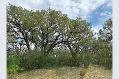 Unk County Road 330, Bertram, TX 78605 - Photo 5