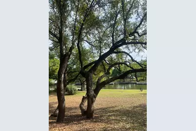 1705 Glencove, Kingsland, TX 78639 - Photo 3