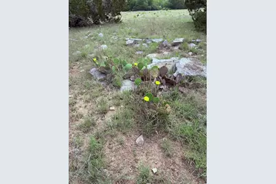 5341 County Road 236, Liberty Hill, TX 78642 - Photo 13