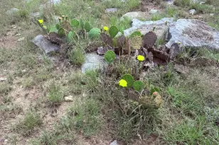 5341 Co Rd 236, Liberty Hill, TX 78642 - Photo 13