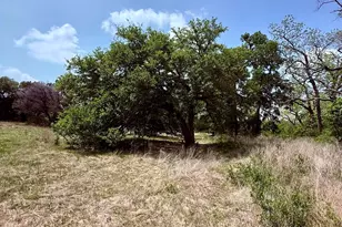 5341 Co Rd 236, Liberty Hill, TX 78642 - Photo 7