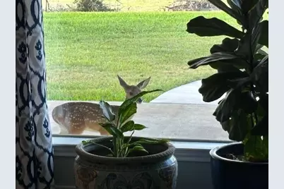 400 N Chaparral Drive, Burnet, TX 78611 - Photo 7