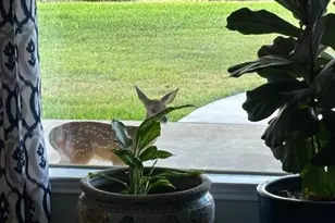 400 N Chaparral Dr, Burnet, TX 78611 - Photo 7