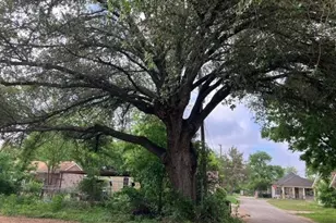 204 E Dry St, San Saba, TX 76877 - Photo 5