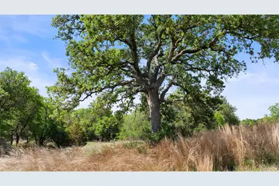 11755 Rm 1323, Johnson City, TX 78636 - Photo 11