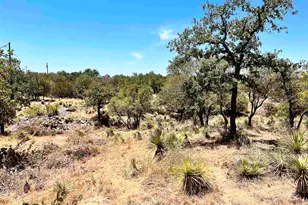 Lot 320 Tbd W Castlebriar Dr, Granite Shoals, TX 78654 - Photo 7