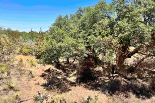 Lot 321 Tbd W Castlebriar Dr, Granite Shoals, TX 78654 - Photo 9