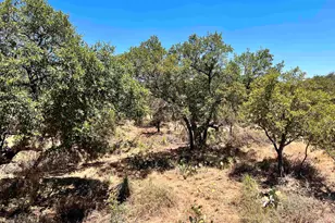 Lot 323 Tbd W Castlebriar Dr, Granite Shoals, TX 78654 - Photo 15