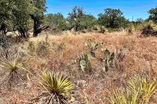 Lot 323 Tbd W Castlebriar Dr, Granite Shoals, TX 78654 - Photo 11