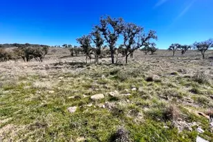 Lot 202 Tbd Westridge Way Big Creek Ranch, Kingsland, TX 78639 - Photo 7