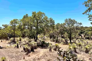 Lot 286 Tbd W Castlelake Dr, Granite Shoals, TX 78654 - Photo 1