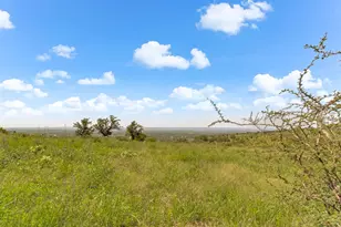 Lot 152 Westridge Way- Big Creek Ranch, Kingsland, TX 78639 - Photo 7