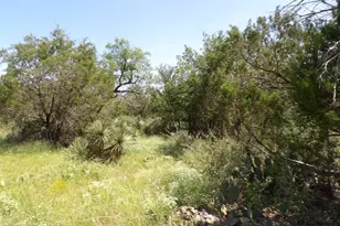 Lots 352 & 353 Rosehill, Granite Shoals, TX 78654 - Photo 3