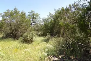 Lot 352 Rosehill, Granite Shoals, TX 78654 - Photo 3