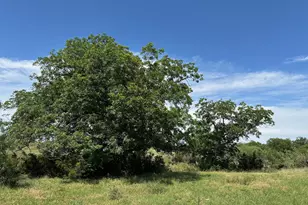 Unk County Road 330, Bertram, TX 78605 - Photo 3