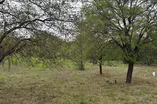 Lot 160 Driftwood Ln, Cottonwood Shores, TX 78657 - Photo 3