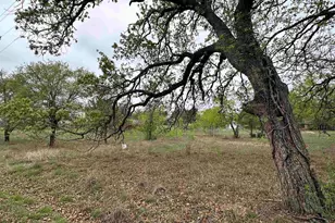 Lot 161 Driftwood Ln, Cottonwood Shores, TX 78657 - Photo 1