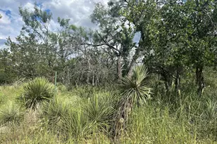 0 Sherwood Downs, Granite Shoals, TX 78654 - Photo 1