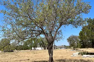 2201 Parkview Dr, Marble Falls, TX 78654 - Photo 11