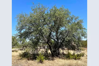 2201 Park View Drive, Marble Falls, TX 78654 - Photo 15