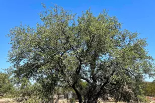 2201 Parkview Dr, Marble Falls, TX 78654 - Photo 15