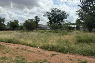 Lot 458 459 Fir Ln, Cottonwood Shores, TX 78657 - Photo 5